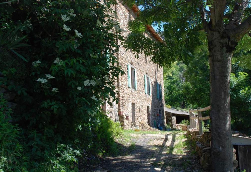Gite De Fontfouillouse Les Plantiers Екстериор снимка